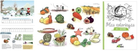 Calendrier et coloriages des saisons