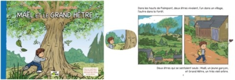 Illustrations Maël et le grand hêtre BD